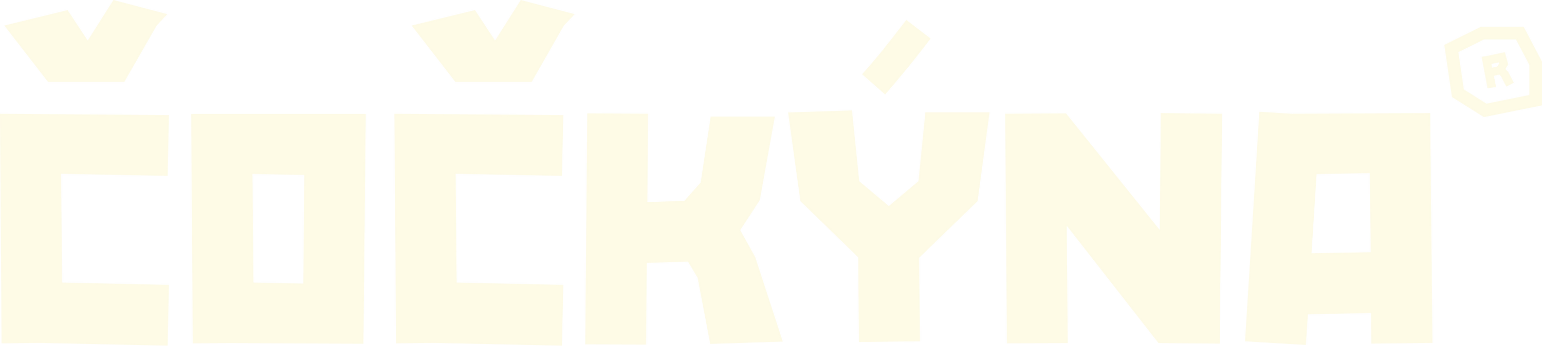 Čočkýna